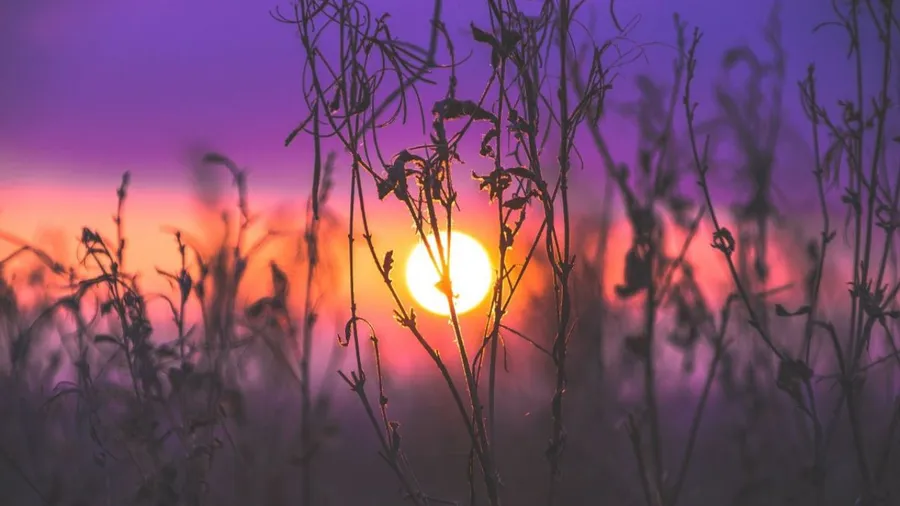 Healing relationships